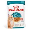 ROYAL CANIN ITALIA FHN AGEING 15+ GRAVY 85G