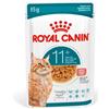 ROYAL CANIN ITALIA FHN AGEING 11+ GRAVY 85G