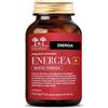 SALUGEA RELOAD ENERGEA+ NF SALUGEA 60CPS