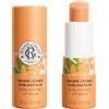 ROGER&GALLET (LAB. NATIVE IT.) R&G NEROLI BALSAMO LABBRA 3,5G