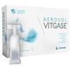 GEMAVIP Vitgase Aerosol 15 Flaconcini 25 Ml