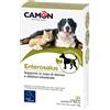 CAMON ENTEROSALUS 30CPR 1G