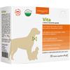ADAMA SICIL VITA 20BUST 4G