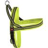 CAMON PETTORINA MESH DYNAM P LIME100