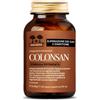 SALUGEA RELOAD Salugea Colonsan Formula Potenziata 60 Capsule