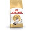 ROYAL CANIN ITALIA FBN RAGDOLL ADULT 400G