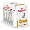 ROYAL CANIN ITALIA VHN WET DOG URIN S/O MO12X100G