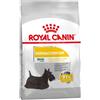 ROYAL CANIN ITALIA CCN DERMACOMFORT MINI 1KG