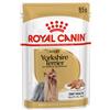ROYAL CANIN ITALIA BHN WET YORKSHIRE TERRIER 85G