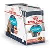 ROYAL CANIN ITALIA FCN WET CARE URINARY 85G