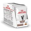 ROYAL CANIN ITALIA VHN WET CAT GASTROINTEST12X85G