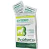 TREBIFARMA ENTEROLAC 8 Cpr.