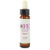 CEMON Aspen Cemon Flower Essences Stock Bottle 10ml