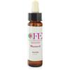 CEMON Mustard Cfe Stock Bottle 10ml