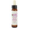 CEMON Sweet Chestnut Cfe Stock Bottle 10ml