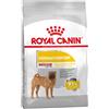 ROYAL CANIN ITALIA CCN DERMACOMFORT MEDIUM 12KG
