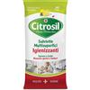 L.MANETTI-H.ROBERTS Citrosil Salviette Igien Lim