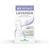 PRODECO PHARMA Gse Intimo Lavanda 2 Flaconi Da 100ml