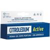 NAMED Citroledum Active Penna Gel Dopo Puntura Con Ammoniaca 15ml