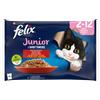 NESTLE' FELIX LE GHIOTT J MULTIP 4X85G