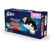 NESTLE' FELIX LE GHIOTT J 85G