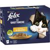 NESTLE' FELIX LE GHIOTT LE VARIE12X85G