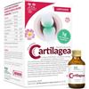 SALUGEA RELOAD Salugea Cartilagea 18 Flaconcini