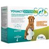MSD ANIMAL HEALTH YOUACT ENTERO SOS 14BUST