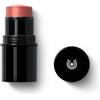 WALA ITALIA Dr Hauschka Lip To Cheek 01 Apricot Blush In Stick Per Labbra E Guance 6,1 G