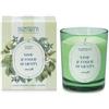 HP ITALIA CANDELA 180G LIME/FOGLIE/MENTA