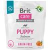 BRIT CARE CANE GRAIN FREE PUPPY SALMON 1 KG
