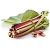 Antica Farmacia Orlandi Rabarbaro Rapontico Rizoma Polvere 100 G