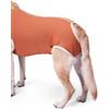 BODYCOBRE BODY CASTRAZIONE CANI MASCHI "TG. 2" 3,5-4,5 KG