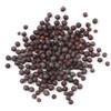 Antica Farmacia Orlandi Senape Nera Semi Interi 100 Gr
