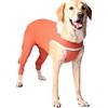 BODYCOBRE BODY ZAMPE POSTERIORI UNISEX CANE E GATTO "TG. 1" 2,5-3,5 KG