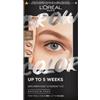 L'OREAL ITALIA L OREAL BROW TINT 7.0 DARK BLOND