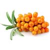 Antica Farmacia Orlandi Olivello Spinoso Frutti 100 Gr