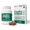 INNOVET ITALIA CONDROSTRESS MOBILITY 90CHEWS
