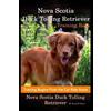 Doug K Naiyn Nova Scotia Duck Tolling Retriever Training Book By D!G (Tascabile)