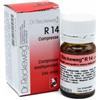 DR.RECKEWEG Dr. Reckeweg R14 Omeopatico Insonnia Ansia 100 Compresse - DR.RECKEWEG - 800582660