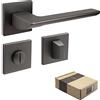 APECS Maniglie per porte interne moderne, maniglia per porta con rosetta quadrata in grafite opaca, guarnizione con materiale di fissaggio, accessorio per porta modello ELECTRA WC - Bagno