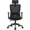 Hoolamyie Sedia Ufficio Ergonomica con Poggiatesta 2D, Sedia da Scrivania Supporto Lombare Regolabile, Schienale in Rete Traspirante, Seduta Imbottita, Funzione Basculante 90°-130°, Nera