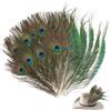 Generisch 20 Pezzi Piume di Pavone Naturali, 25-30 Cm di Piume Pavone per Cappelli, Creazioni Fai da Te, Decorazioni per Capelli, Decorazioni con Pavoni (10 X Piume Oculari + 10 X Piume Laterali)