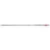 CARBON EXPRESS Freccia in Carbonio Carbon Express Predator Hot Pursuit