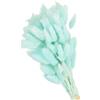 PATIKIL 15.7in Coda di Coniglio Fiori Secchi, 120pz Erba di Pampas Decorativa Coda di Coniglio Erba di Pampas Naturale in Bulk Fluffy Faux Erba di Pampas Essiccata , Azzurro Chiaro