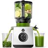 AAOBOSI Estrattore Frutta e Verdura 165MM, Slow Juicer con capacità di 2,5L