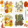 Resiners Fiori Secchi, Resiners 100 Pezzi Giallo Fiori Pressati per Resina, Sapone, Candele, Scrapbooking & Biglietti - Set di Fiori e Foglie Naturali Essiccati per Fai-da-te, Artigianato & Decorazioni