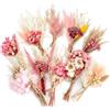 WOKICOR 10 Mini Fiori Secchi Rosa Bouquet Fiori Secchi Fiori Secchi Naturali per DIY Cornici Confezioni Regalo Decorazione Tavola Matrimonio Stile Boho