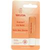 Weleda Everon, cura delle labbra, confezione da 3 (3 x 4,8 g)