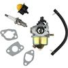 Letturn KIT CARBURATORE PER EINHELL GC-PM 46/1 S GC-PM 51/2 S HW HBM 46 R CARBURATORE DI RICAMBIO CON GUARNIZIONI TUBO E LAMPADINA PRIMER